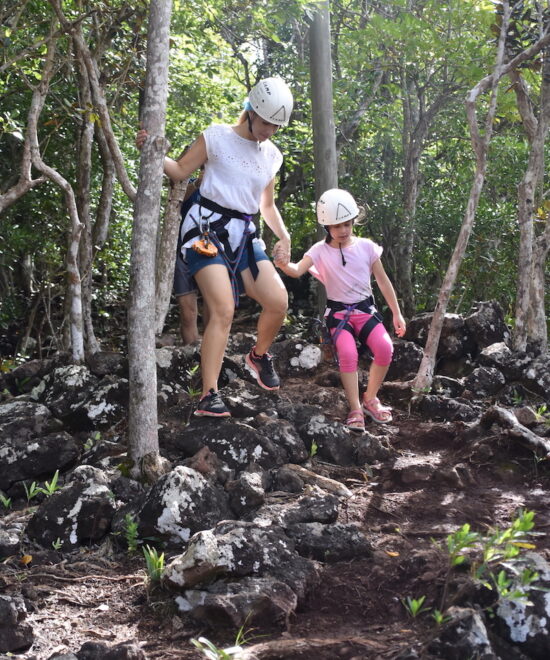 Visit of Endemic Forest & Walk to "Au bout du  monde" platform